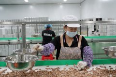 可以或许精准调控温度、时间等参…